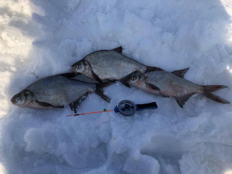 Прикрепленное изображение: FullSizeRender-03-03-19-05-55.jpg