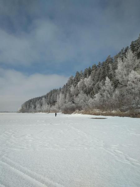 Прикрепленное изображение: IMG_20190310_113808.jpg