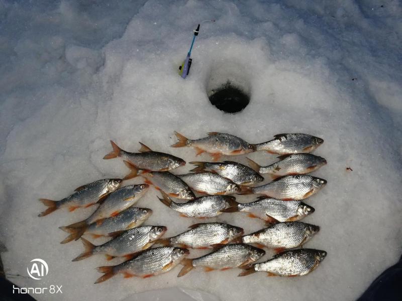 Прикрепленное изображение: IMG_20190323_201633.jpg