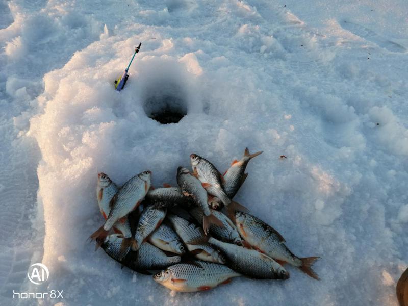 Прикрепленное изображение: IMG_20190323_193400.jpg