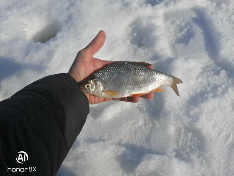 Прикрепленное изображение: IMG_20190323_163516.jpg