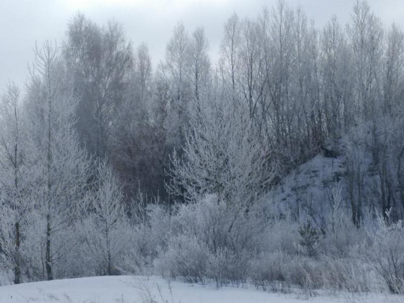 Прикрепленное изображение: P90310-110532.jpg