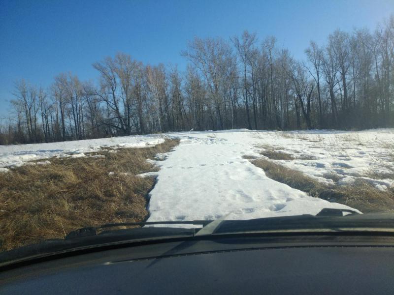 Прикрепленное изображение: P90322-164749.jpg