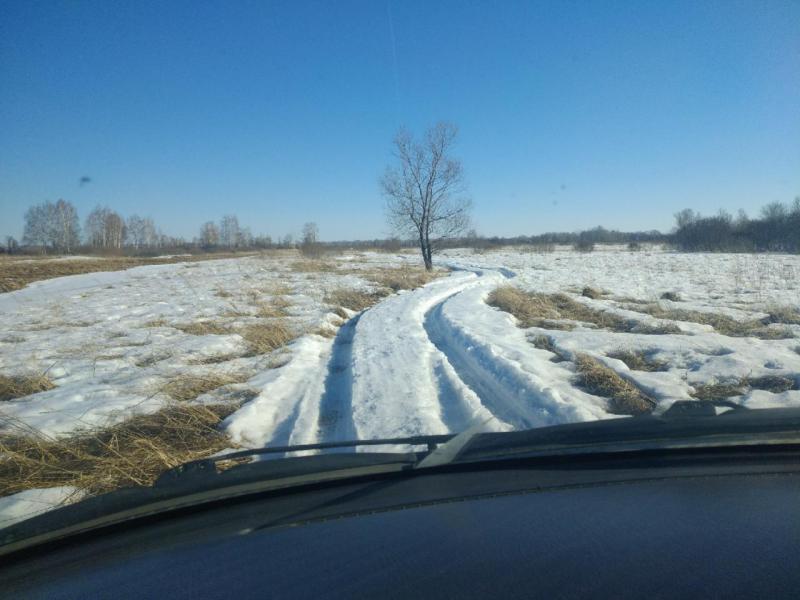 Прикрепленное изображение: P90322-164944.jpg