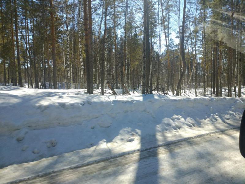 Прикрепленное изображение: P90322-144347.jpg