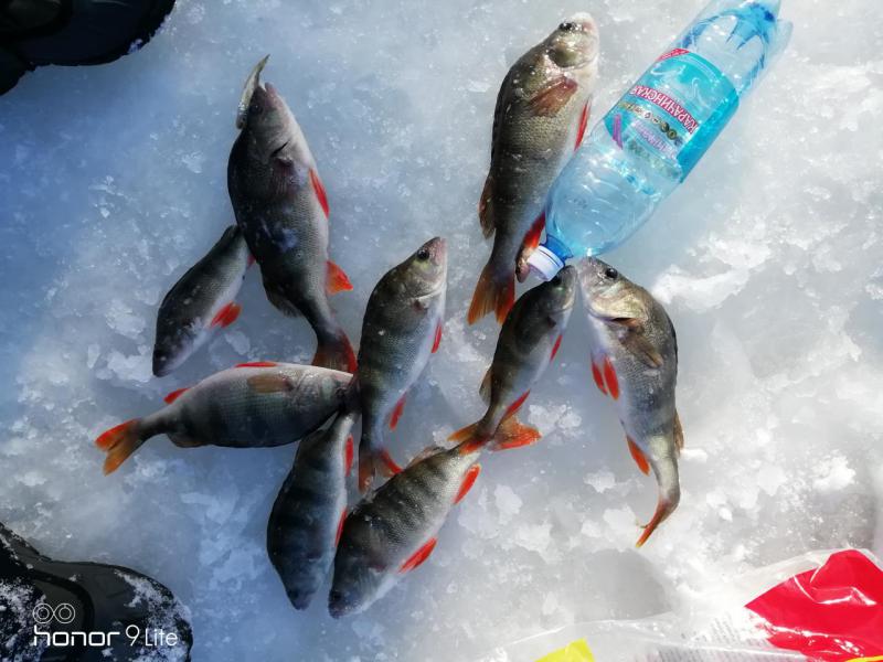 Прикрепленное изображение: IMG_20190302_145026.jpg