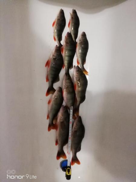 Прикрепленное изображение: IMG_20190302_201349.jpg