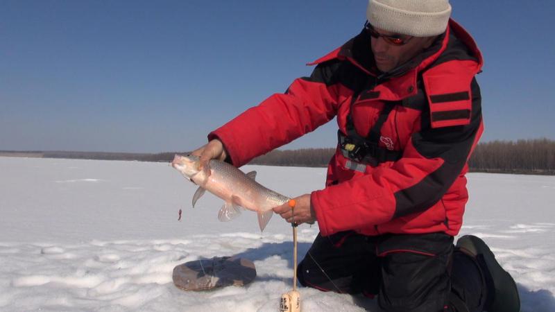 Эпизод 01.00_14_22_13.Still009.jpg