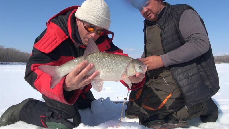 Эпизод 01.00_00_32_01.Still007.jpg