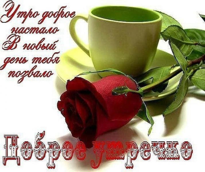 IMG-20190321-WA0001.jpg