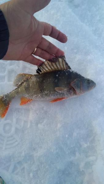 IMG-20190322-WA0103.jpeg