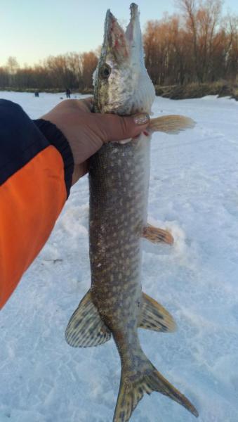 IMG-20190322-WA0105.jpeg
