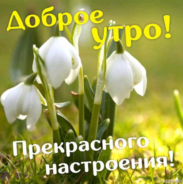 IMG-20190325-WA0030.jpg