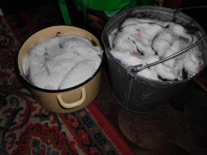 post-5875-0-97509600-1554031208_thumb.jp