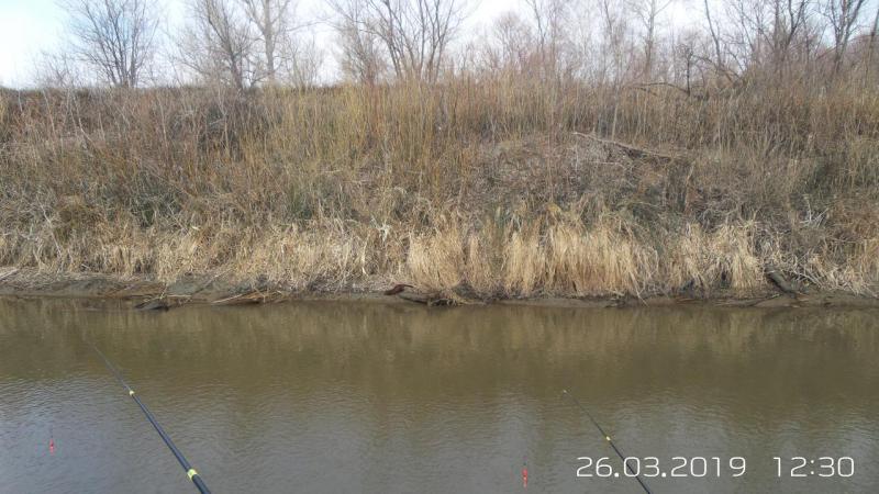 20190326_123050.jpg