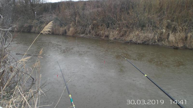 20190330_144147.jpg