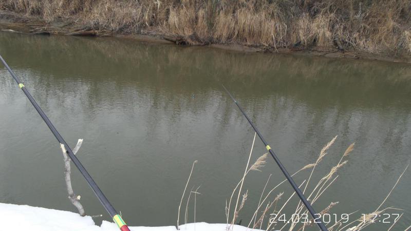 20190324_172713.jpg