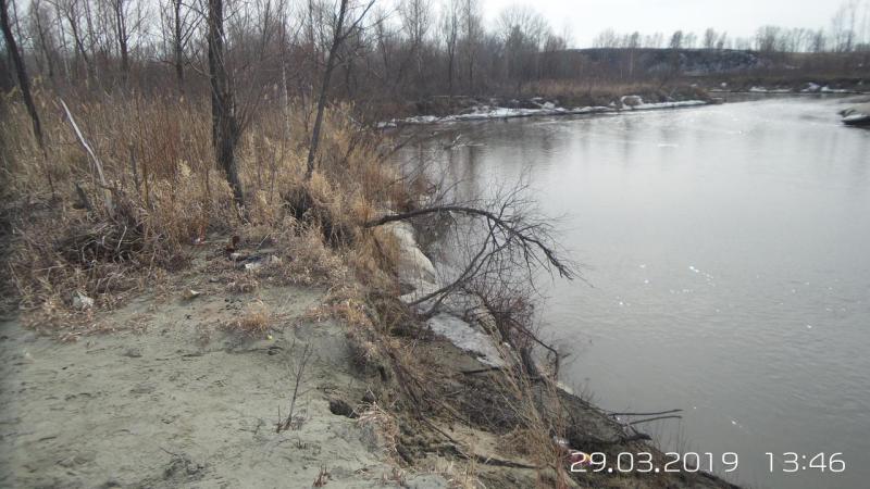 20190329_1346471.jpg