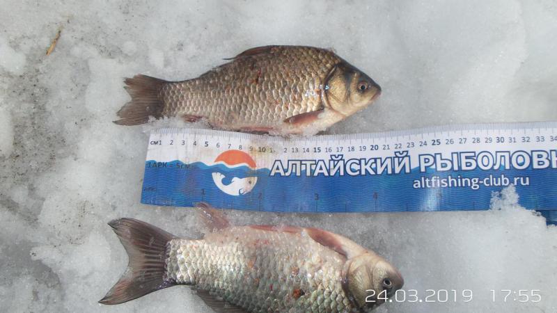 20190324_175540.jpg