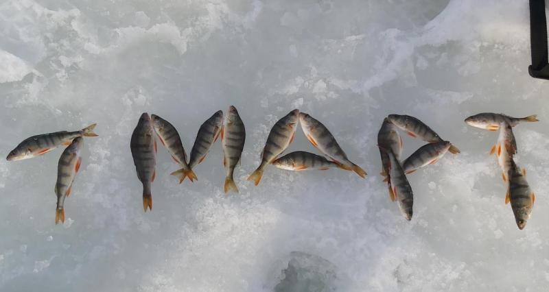 Прикрепленное изображение