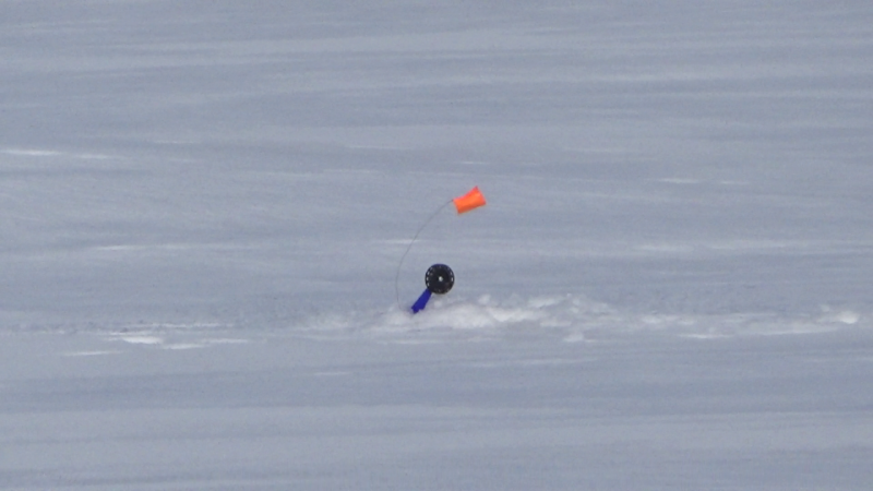 Прикрепленное изображение: vlcsnap-2020-03-12-10h17m03s871.png