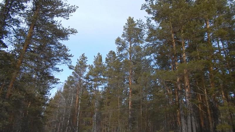 Эпизод 02.00_09_23_23.Still022.jpg