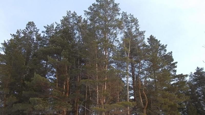 Эпизод 02.00_04_44_07.Still020.jpg