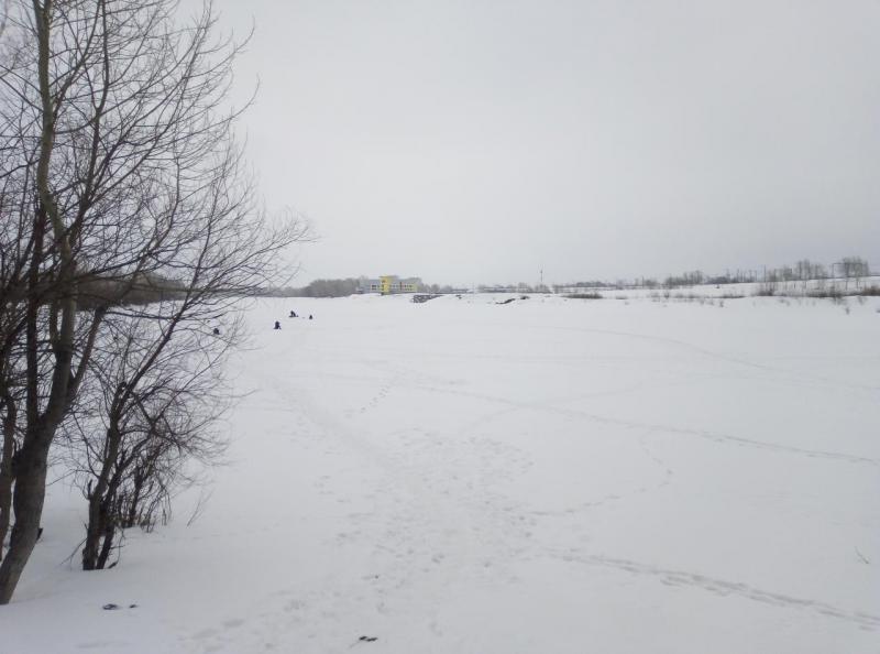 IMG_20200303_145705.jpg