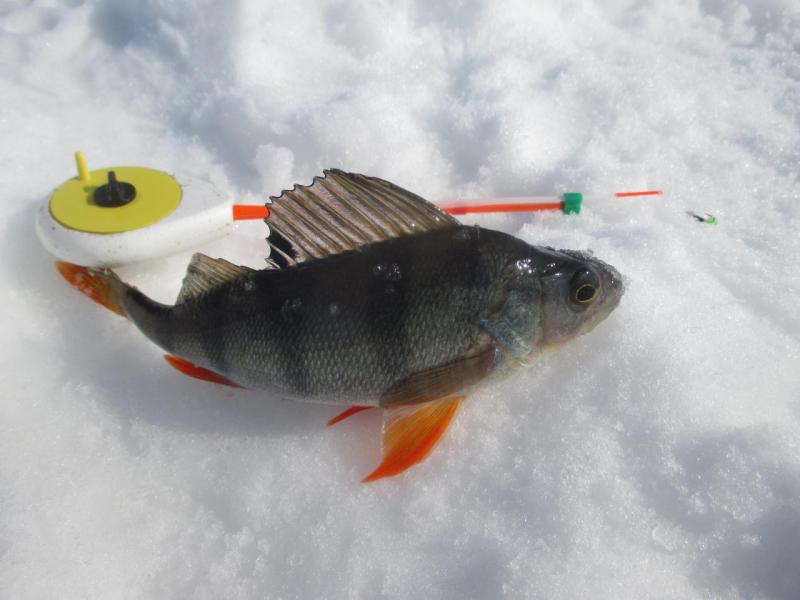 IMG_2202.JPG