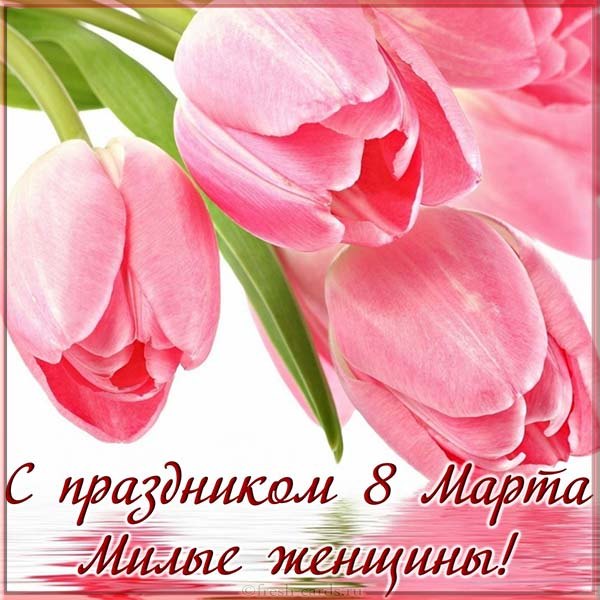 foto-s-8-marta-tsvety.jpg
