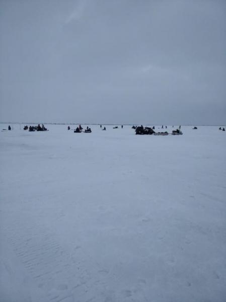 IMG-20200319-WA0010.jpg