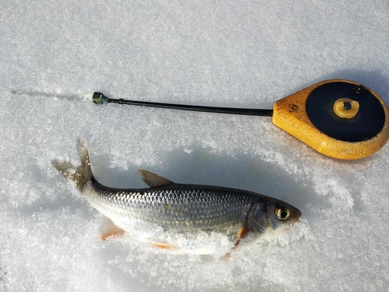 Прикрепленное изображение: IMG_20210320_165554.jpg