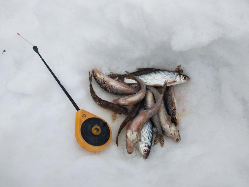 Прикрепленное изображение: IMG_20210321_100057.jpg