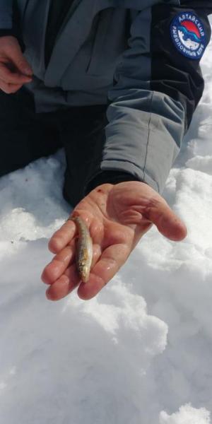 Прикрепленное изображение: IMG-20210322-WA0023.jpg