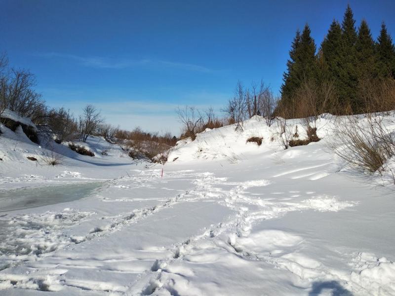 Прикрепленное изображение: IMG_20210320_170225.jpg