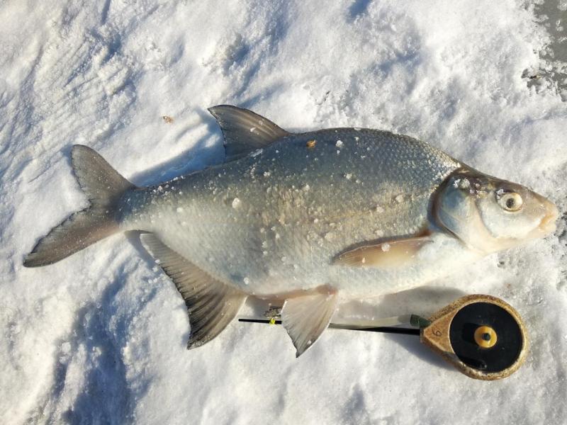 Прикрепленное изображение: IMG_20220314_100127.jpg