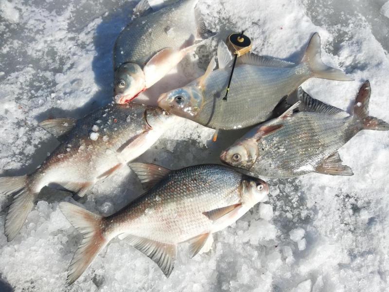 Прикрепленное изображение: IMG_20220314_123414.jpg