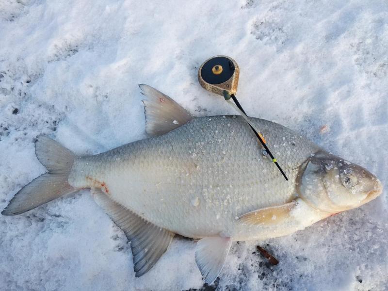 Прикрепленное изображение: IMG_20220314_092215.jpg