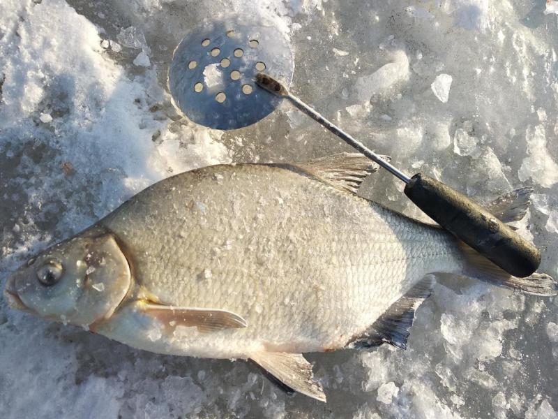 Прикрепленное изображение: IMG_20220315_085921.jpg