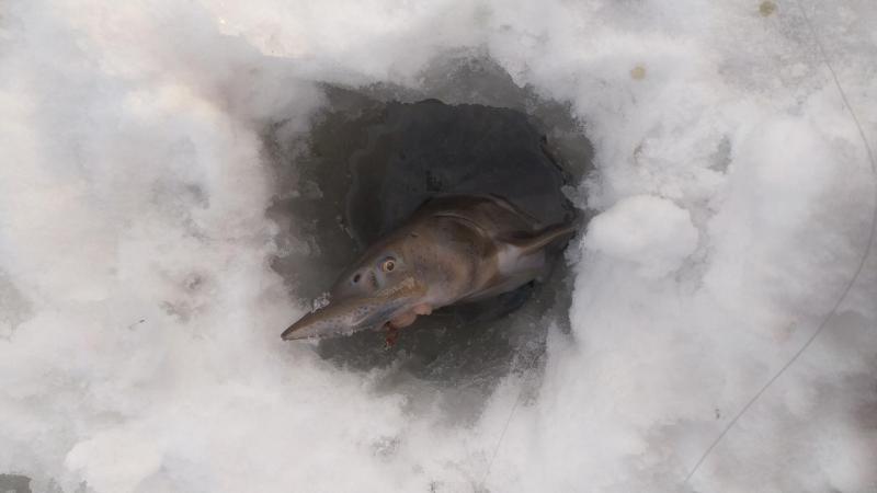 IMG-20231225-WA0013.jpeg