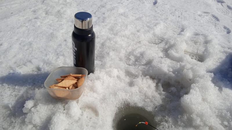 IMG-20240323-WA0004.jpeg