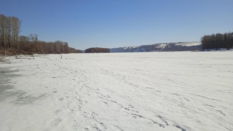 IMG-20240323-WA0006.jpeg