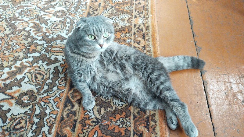 IMG-20240303-WA0003.jpeg