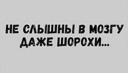 image-2024-12-05 20_42_25.jpg