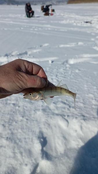 IMG-20250316-WA0000.jpeg