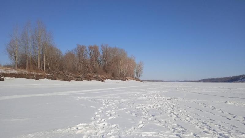 IMG-20250316-WA0014.jpeg