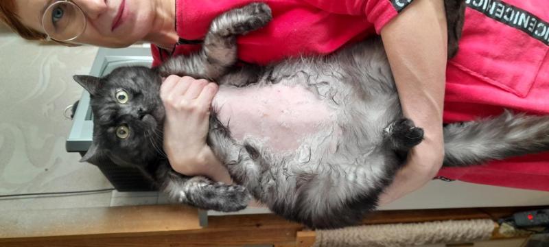 20260304_123252.jpg
