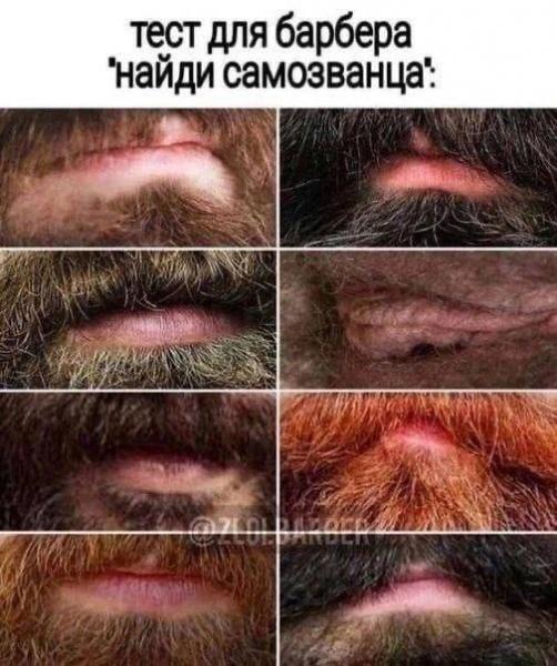 1859763405_.jpg.8ccd6ba82b5046b877d0b7e5813cf775.jpg