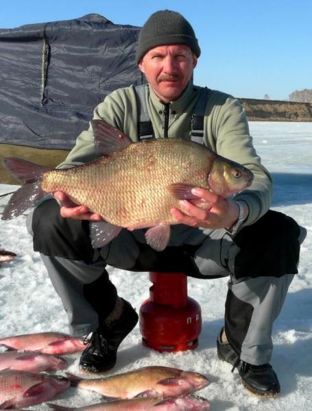 Прикрепленное изображение