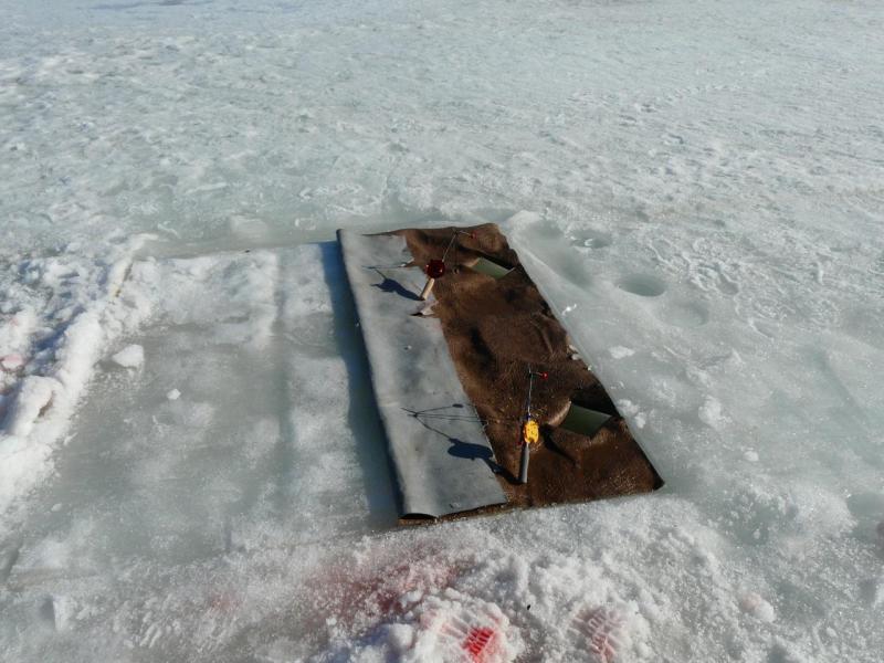 Прикрепленное изображение